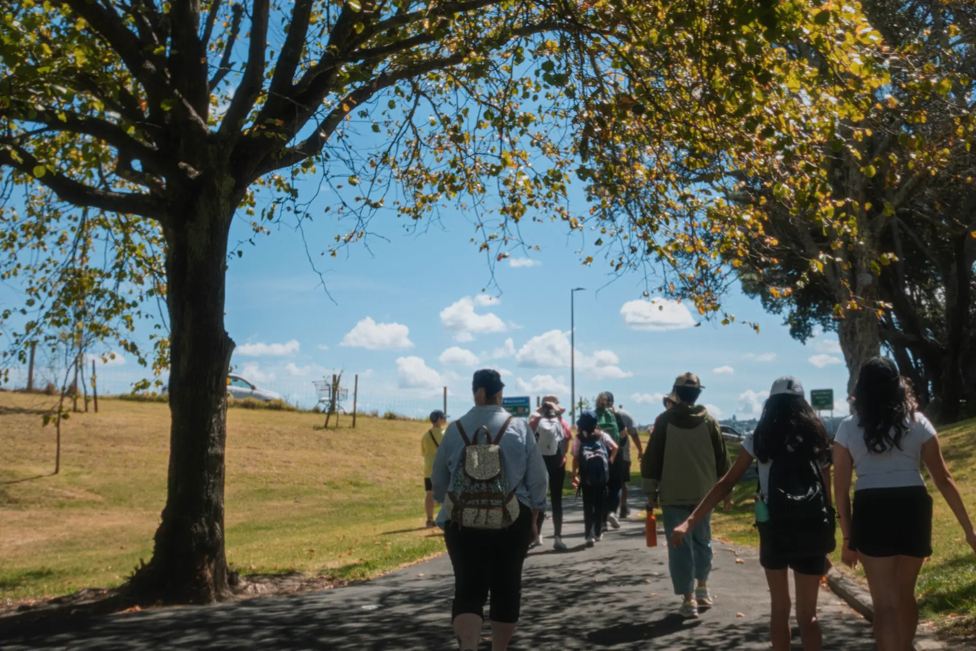 A group of teens and adults walking along the path with a canopy of trees above.